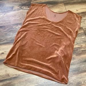 L/XL Wild Harvest Studio bamboo velour tunic/dress